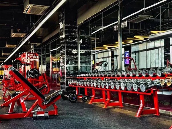 Commercial Gym