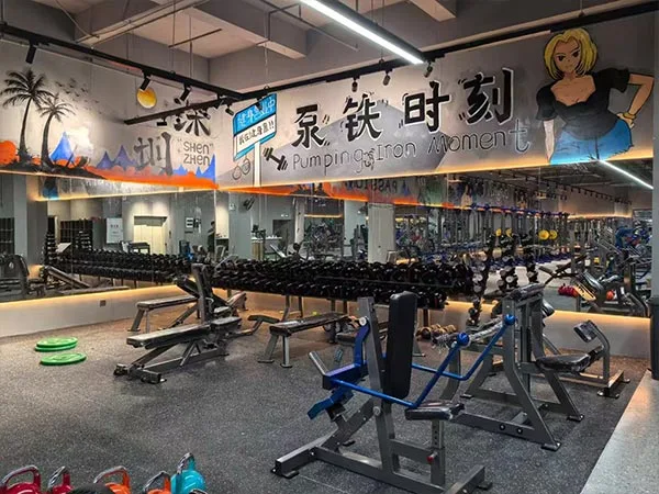 Commercial Gym